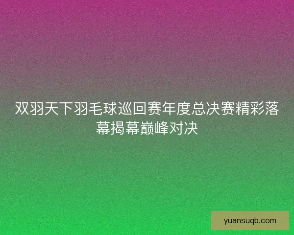 双羽天下羽毛球巡回赛年度总决赛精彩落幕揭幕巅峰对决