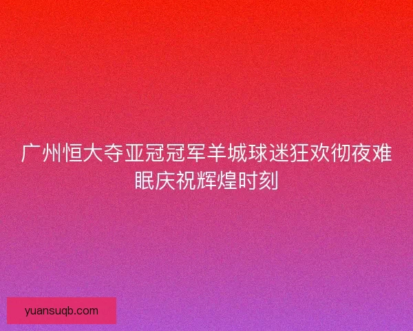 广州恒大夺亚冠冠军羊城球迷狂欢彻夜难眠庆祝辉煌时刻 广州恒大夺亚冠冠军羊城球迷狂欢彻夜难眠庆祝辉煌时刻