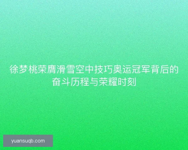 徐梦桃荣膺滑雪空中技巧奥运冠军背后的奋斗历程与荣耀时刻 徐梦桃荣膺滑雪空中技巧奥运冠军背后的奋斗历程与荣耀时刻
