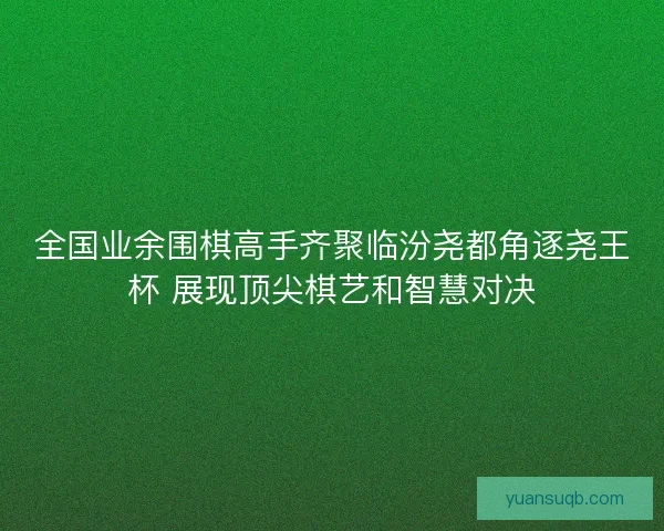 全国业余围棋高手齐聚临汾尧都角逐尧王杯 展现顶尖棋艺和智慧对决