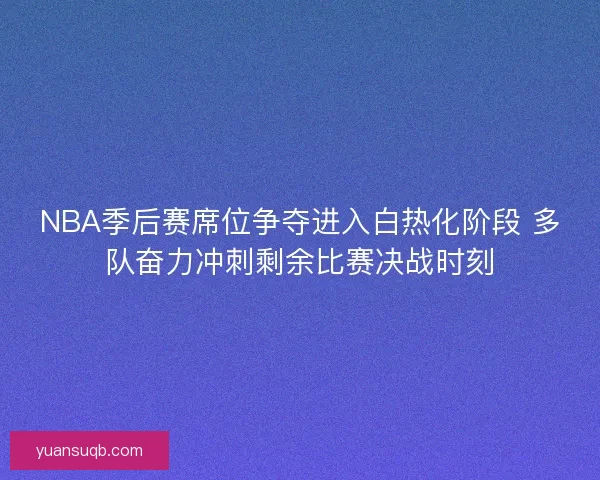 NBA季后赛席位争夺进入白热化阶段 多队奋力冲刺剩余比赛决战时刻 NBA季后赛席位争夺进入白热化阶段 多队奋力冲刺剩余比赛决战时刻